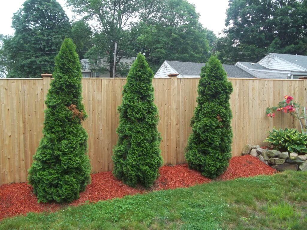 wood fencing